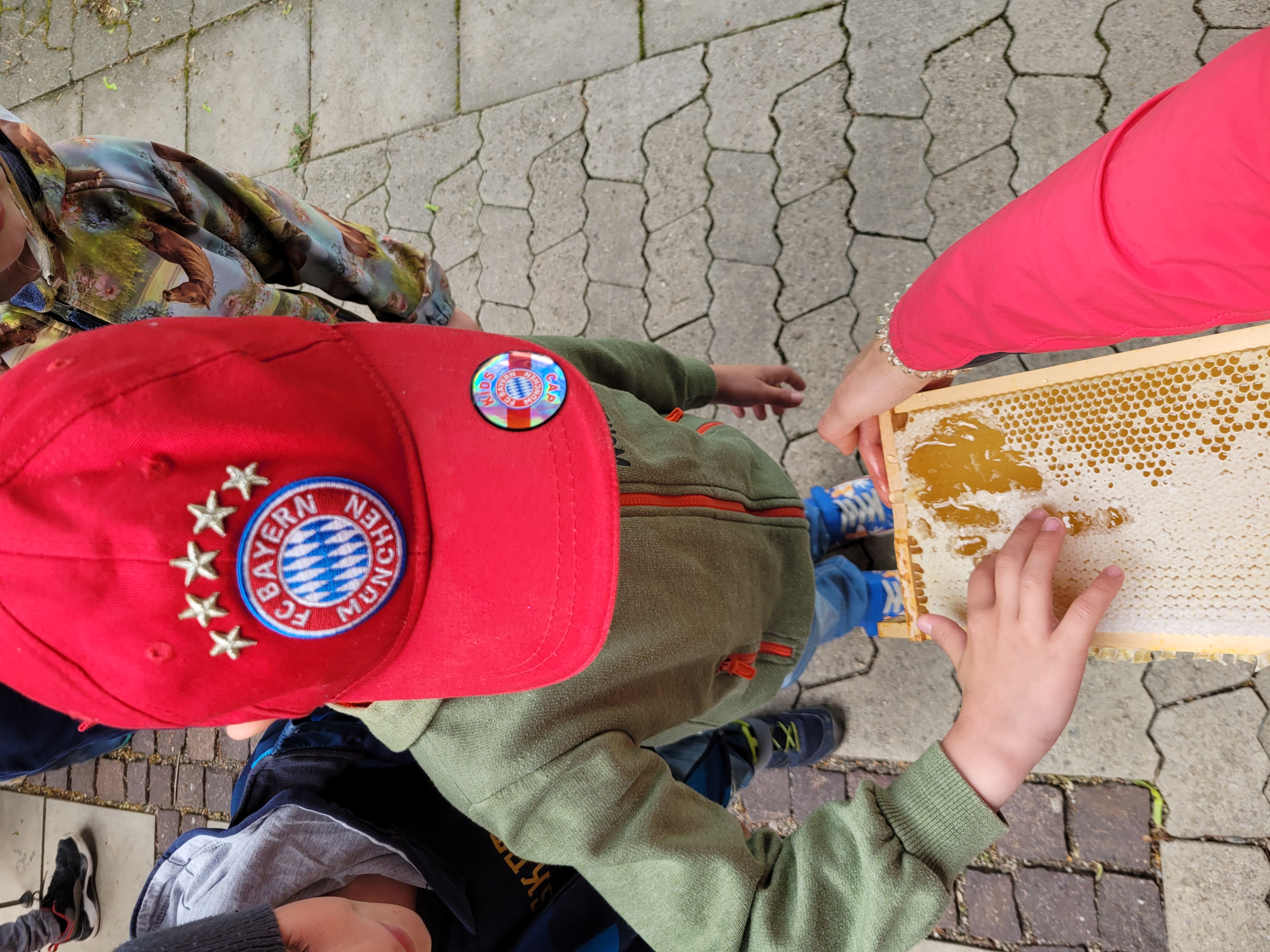 tl_files/fM_k0002/Bilder fuer Klassenhighlights/1. Klasse/Imkerbesuch/1000050381.jpg