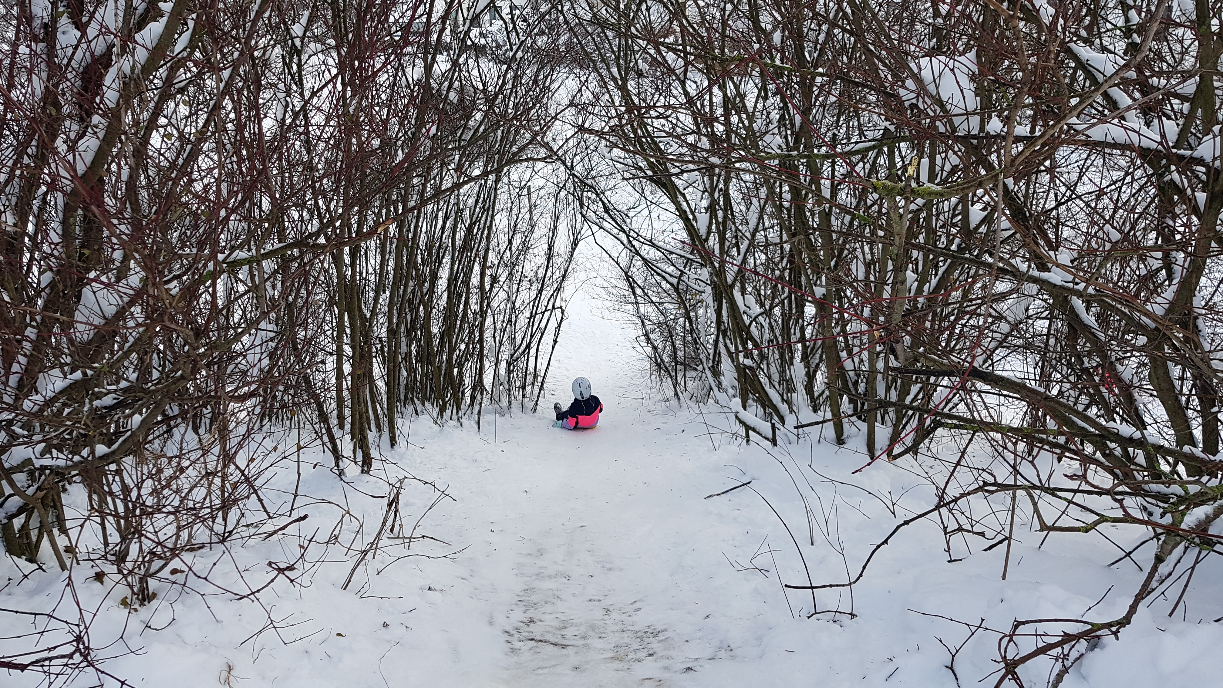 tl_files/fM_k0002/Bilder fuer Klassenhighlights/1. Klasse/Schlittenfahren 2023/20231205_102434.jpg