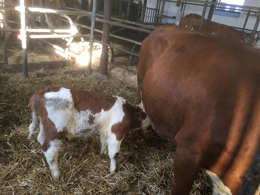 tl_files/fM_k0002/Bilder fuer Klassenhighlights/2. Klasse/Homepage Biohof (1).jpg