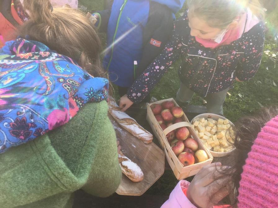 tl_files/fM_k0002/Bilder fuer Klassenhighlights/2. Klasse/Homepage Biohof (3).jpg