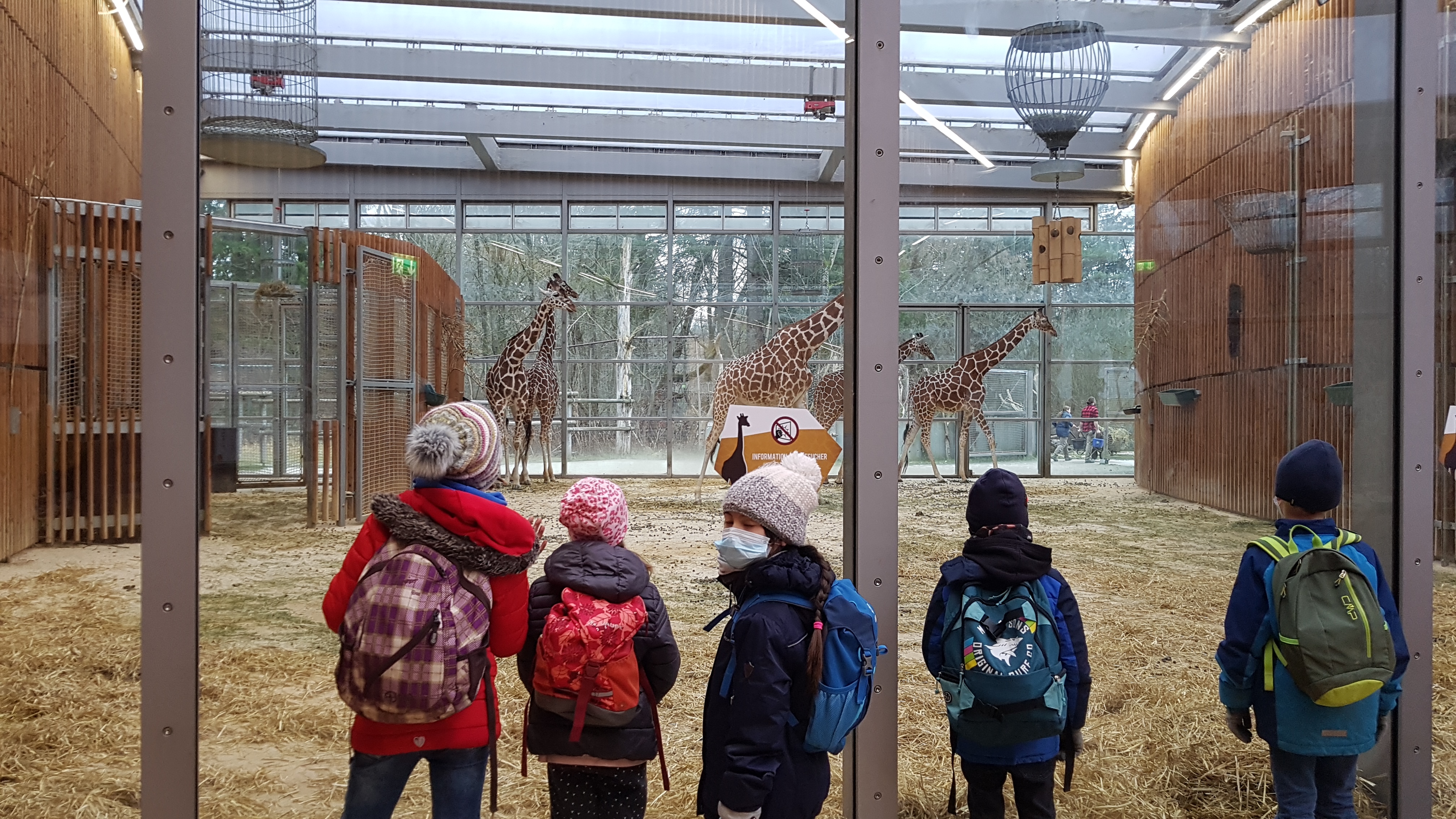 tl_files/fM_k0002/Bilder fuer Klassenhighlights/3. Klasse/20220110_101147.jpg