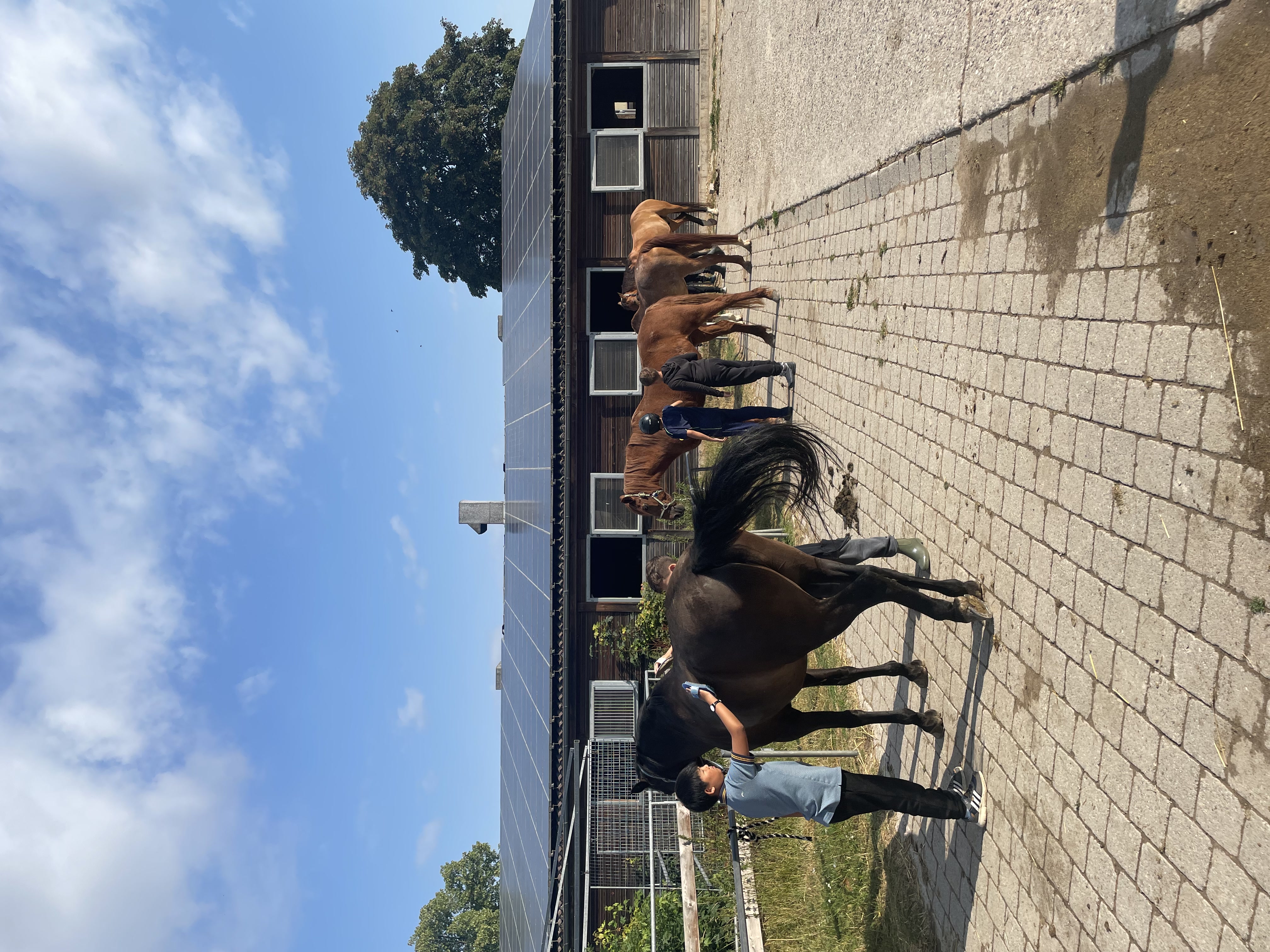 tl_files/fM_k0002/Bilder fuer Klassenhighlights/4.Klasse/IMG_1526.jpg