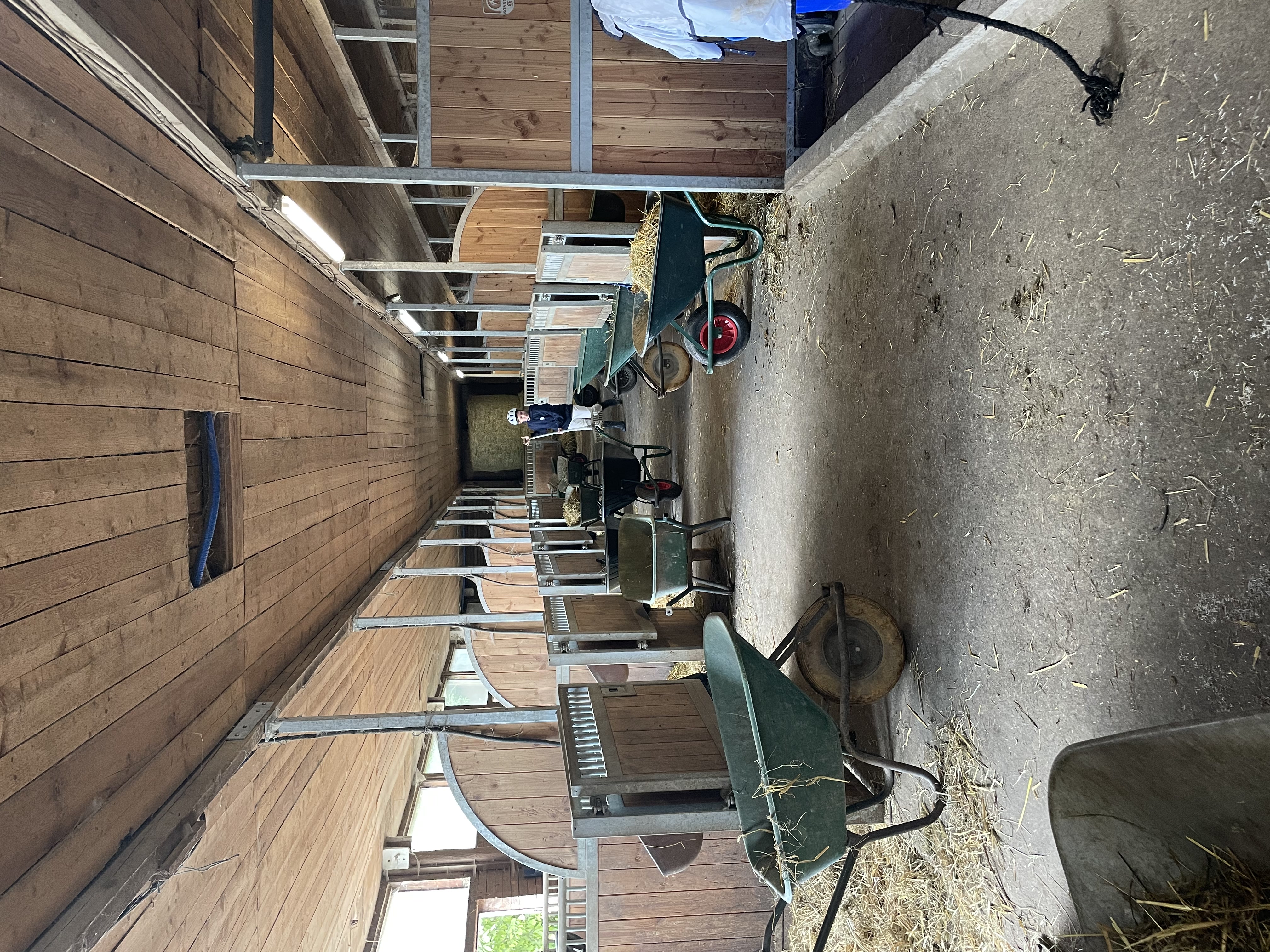 tl_files/fM_k0002/Bilder fuer Klassenhighlights/4.Klasse/IMG_1580.jpg