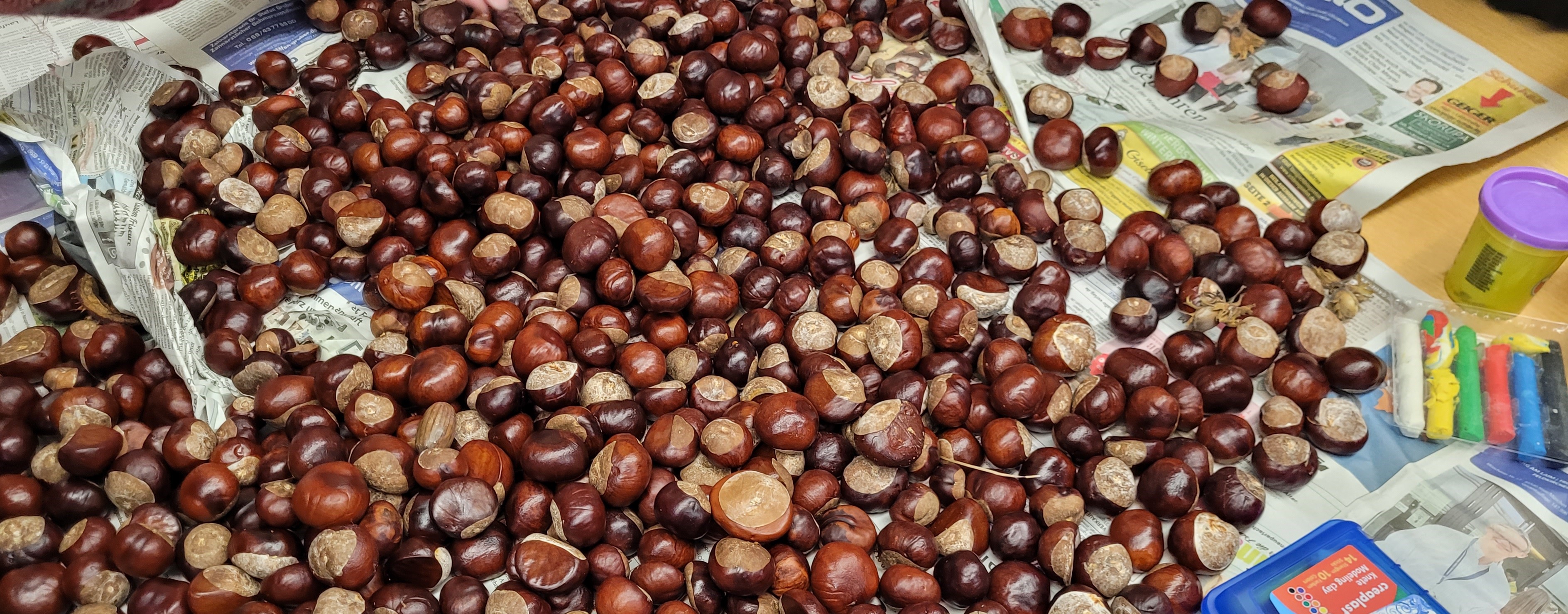 tl_files/fM_k0002/Bilder/Herbstfest 2024/20241002_151227.jpg