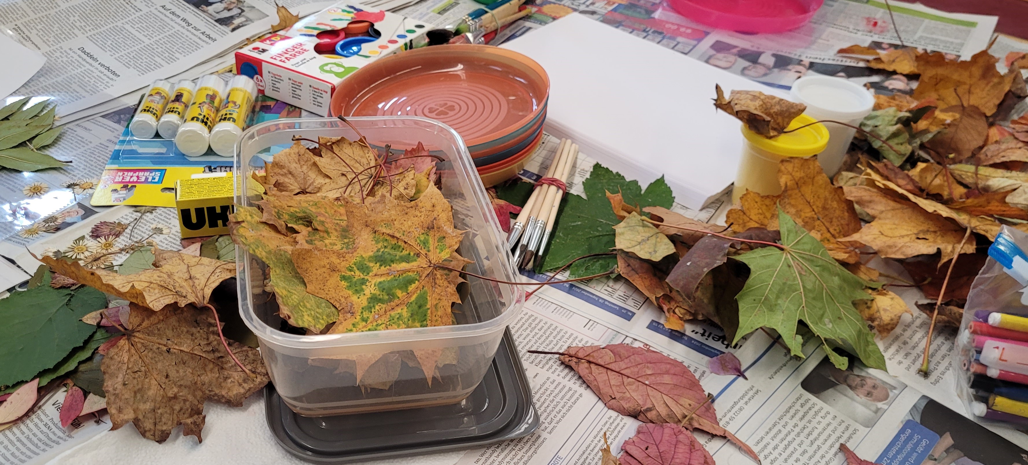 tl_files/fM_k0002/Bilder/Herbstfest 2024/20241002_151251.jpg